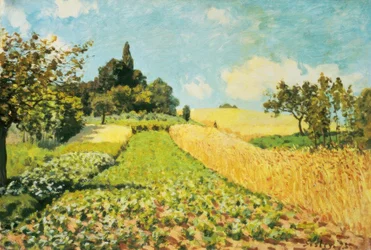 Weizenfeld