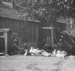 Gutach, 1894