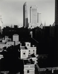 New York vom Shelton