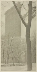 Das Flatiron, 1903