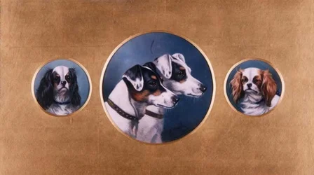 Foxterrier und King Charles Spaniels