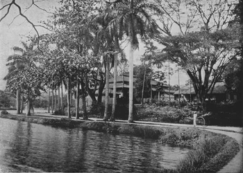 Kandy - Eine malerische Ecke des Sees, um 1890, 1910