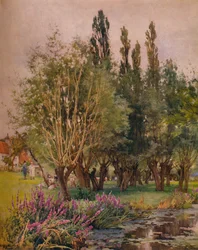 Blutweiderich, ca. 1891