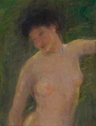 Im Schatten, ca. 1910