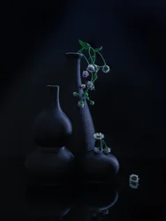 Ruhige Vasen und Blüten