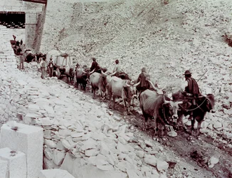 Szene, die den Transport von Marmorblöcken aus einem Steinbruch in Carrara zeigt. Der Wagen wird von zehn Ochsen gezogen