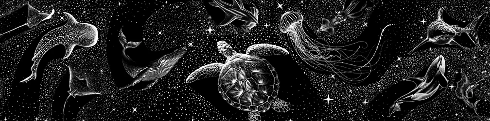 Kosmische Ozeankreaturen