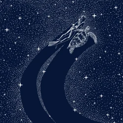 Sternen-Ozeanreise