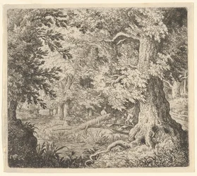 Der Bach im Wald