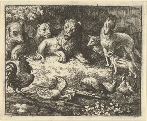 Der Hahn beschuldigt Renard des Mordes an seinem Huhn