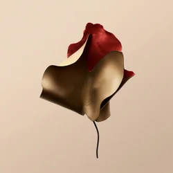 Elegante Lederblume