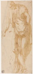 Studie von Levi