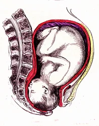 Natürliche oder spontane Geburt