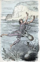 Zoologische Tafel; Kopffüßer-Mollusken, Schwimmer von einem großen Oktopus ergriffen und musquée eledone (Zoologische Platte: Schwimmer von einem Oktopus ergriffen) Gravur aus 