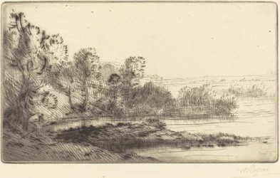 Entlang der Terne
