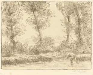 Ufer der Liane