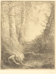Das Verbrennen des Grases
