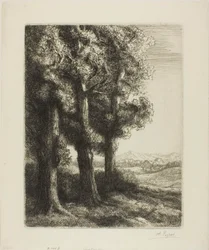 Waldrand