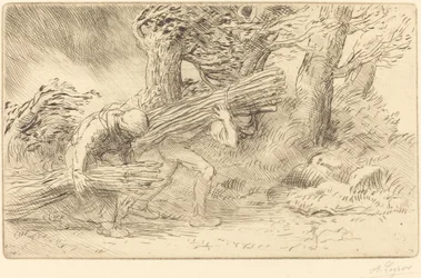 Holzsammler