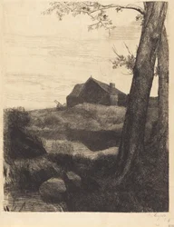 Bauernhof mit großem Baum