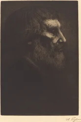 Kopf eines Bettlers (Tête de mendiant)