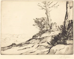 Hügel mit Büschen La butte aux brousailles