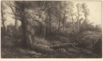 Im Wald (Lisiere de foret)
