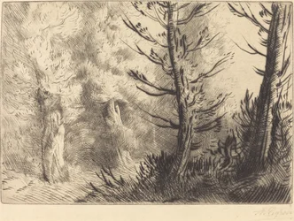 Im Wald von Fontainebleau