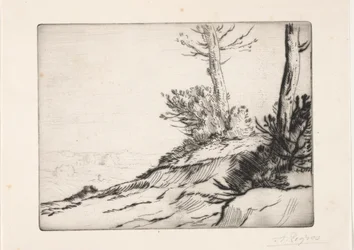 Der Hügel mit Gestrüpp