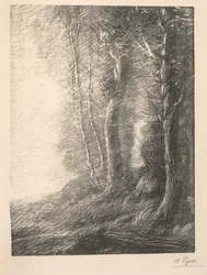 Landschaft
