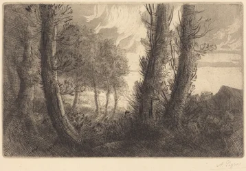 Landschaft