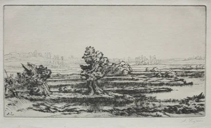 Landschaft