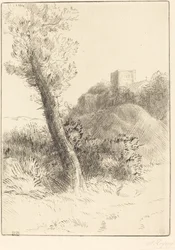 Landschaft