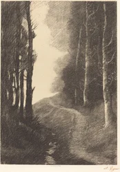 Landschaft mit Birken Le paysage aux bouleaux