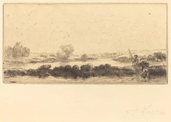 Landschaft mit Torfmoor; Im Sumpf