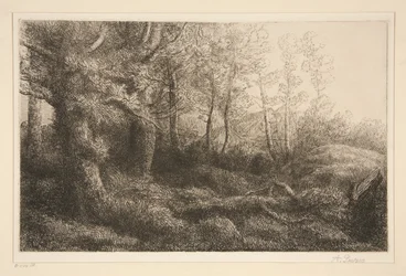 Waldsaum