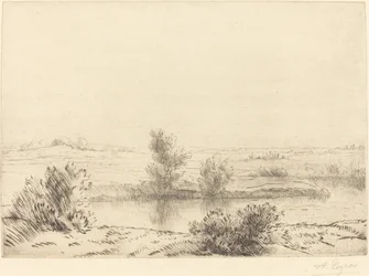 Sumpf Les marais