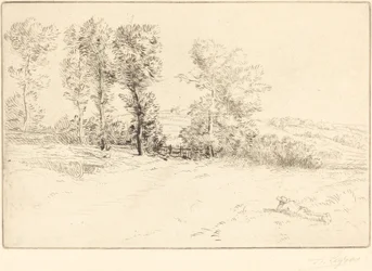 Wiese im Sonnenschein Le pré ensoleillé
