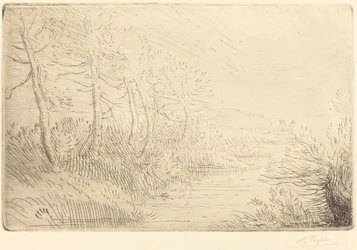 Flussufer Bord de la rivière