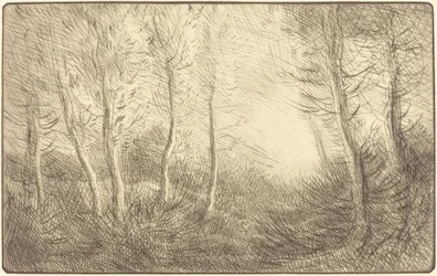 Sonnenaufgang, Wälder von Clamard