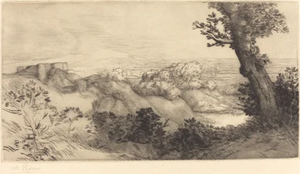 Oben auf dem Hügel