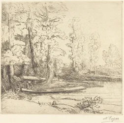 Bäume am Wasser