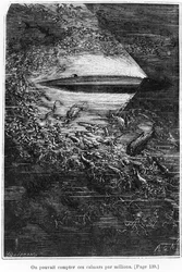 Illustration aus 