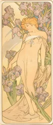 Die Iris