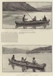 Lachsangeln in Nordamerika