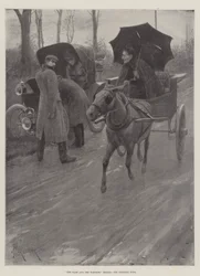 Der Hase und die Schildkröte neu erzählt, die Schildkröte gewinnt