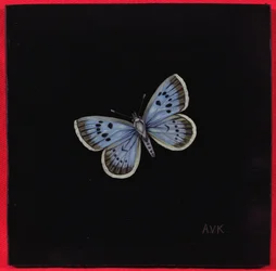 Großer blauer Schmetterling, 2000