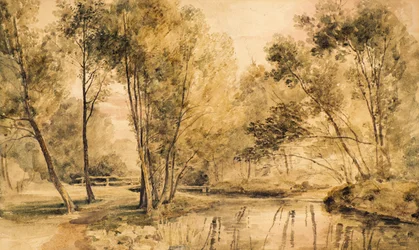 Studie von Bäumen