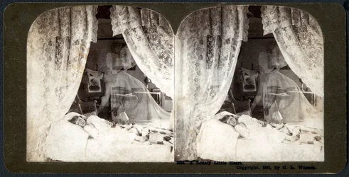 Ein einsames kleines Herz, 1901 (Stereograph)