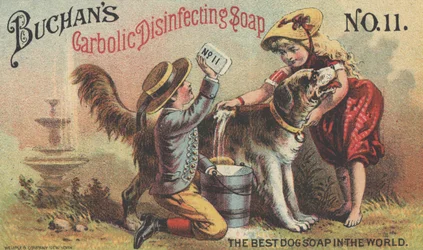 Werbung für Buchans Carbolic Disinfecting Soap No. 11, ca. 1880